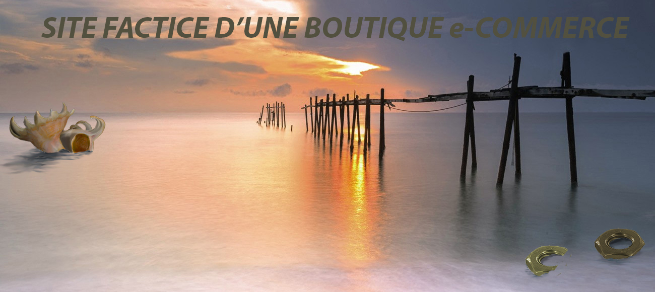 Image d'accueil